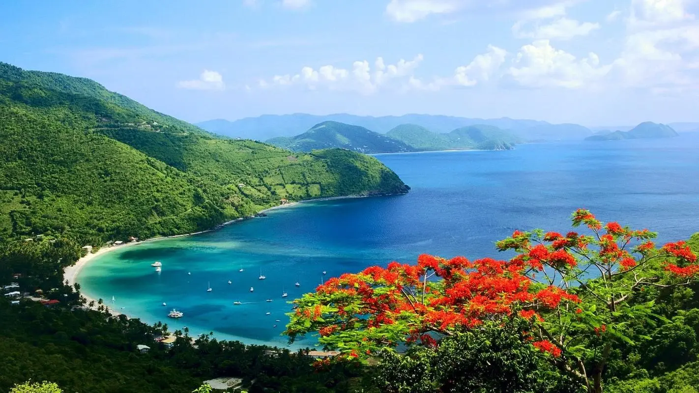 科技节能全自动