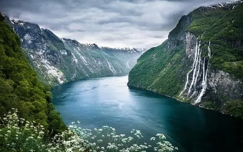 科技创意网络化